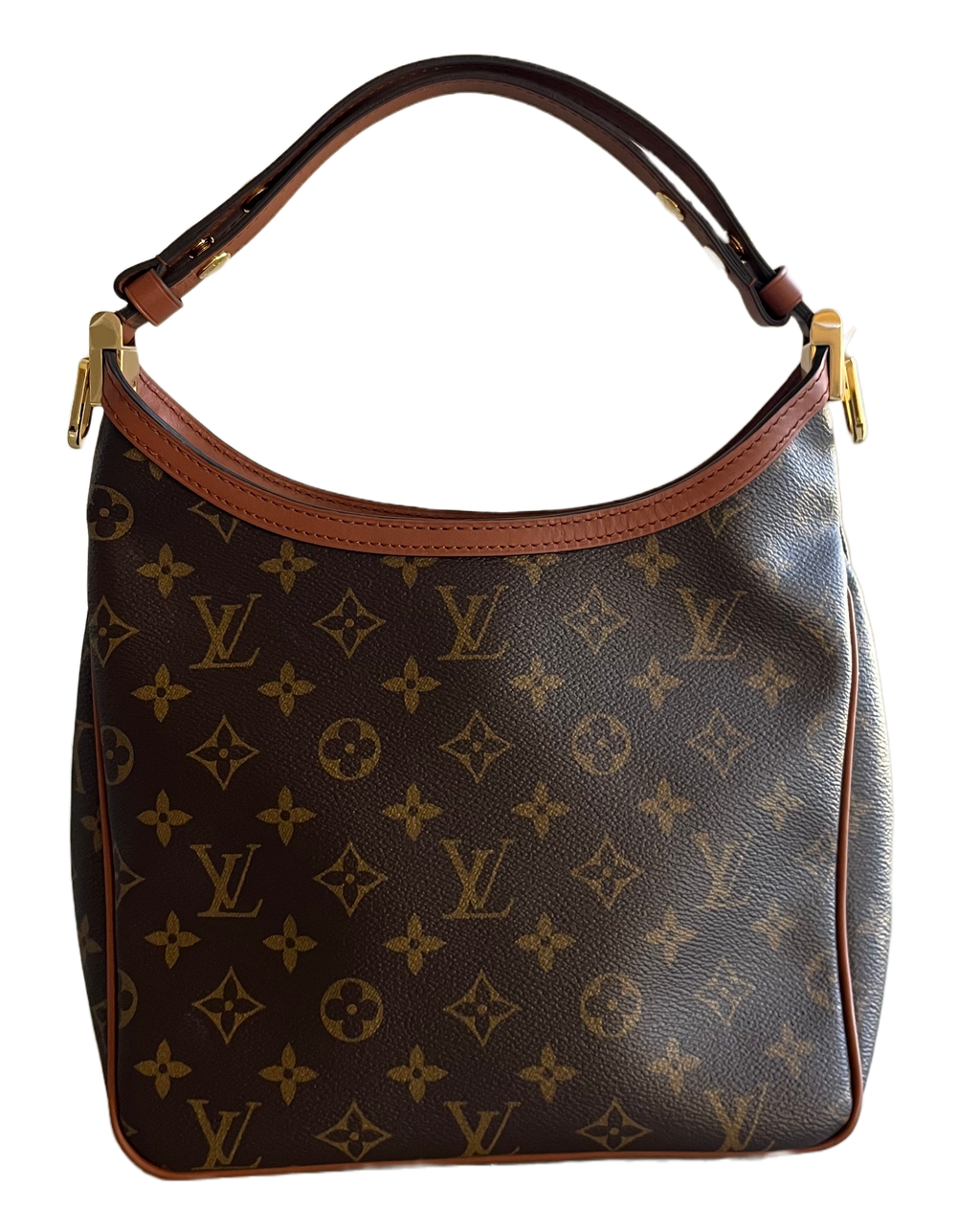 LO-LV bags 2065