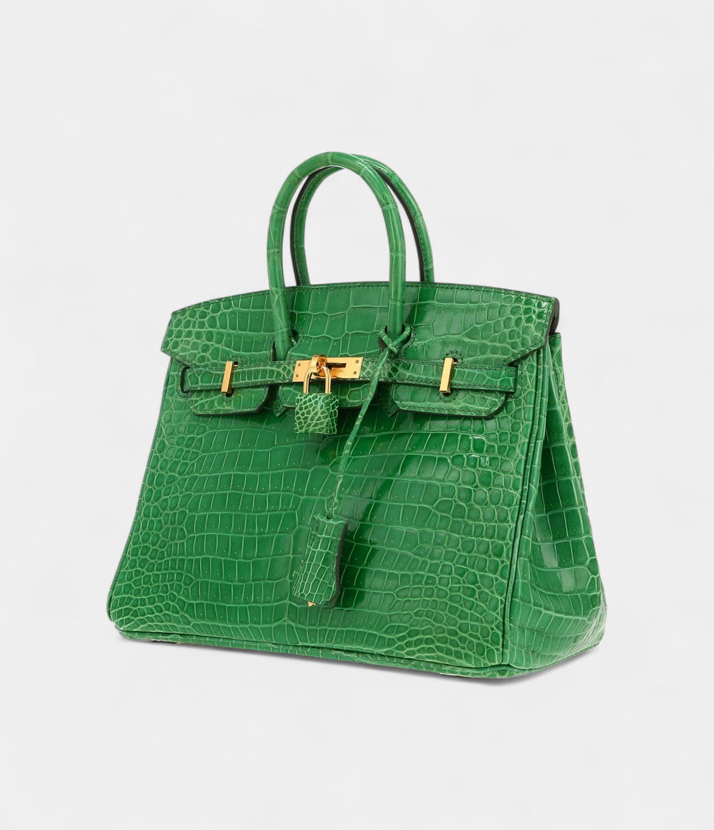 HM BK 25 Cm Handbag In Vert Cactus Porosus Crocodile