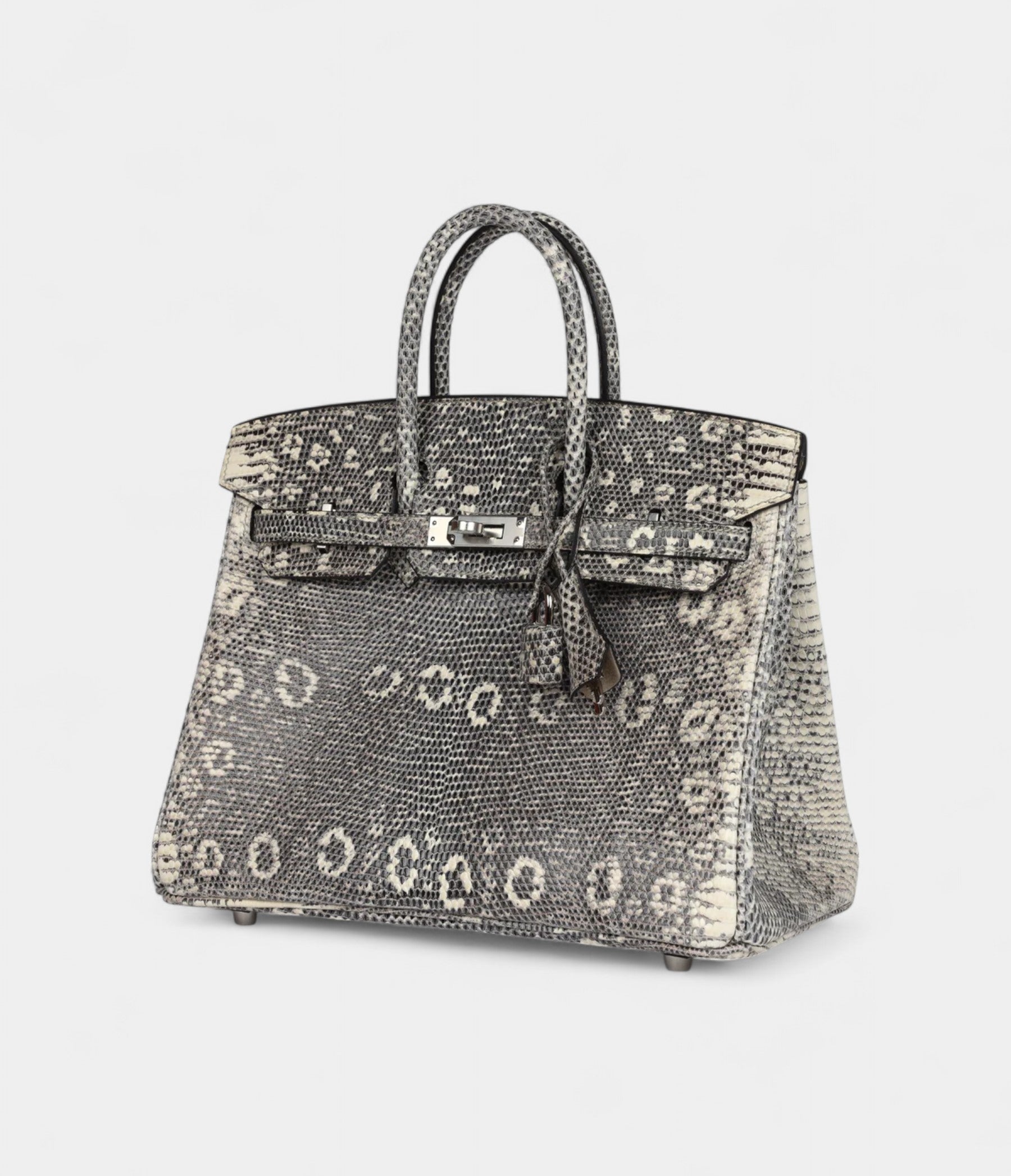 HM BK 25 Ombre Varanus Salvator Lizard Palladium Hardware