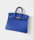 Hermes BK 25 Retourne Handmade Bag In Blue Zellige Ostrich Leather