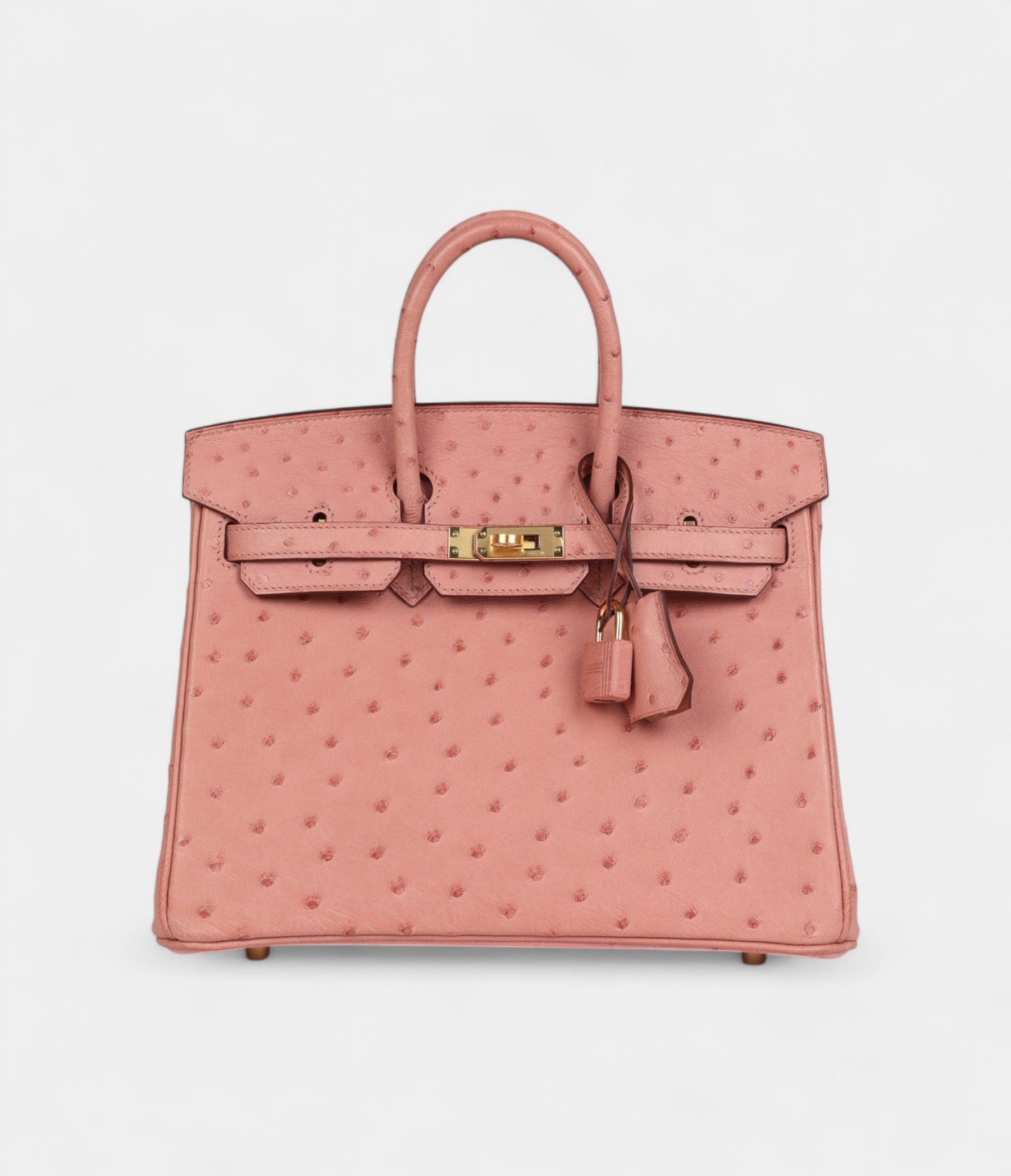 HM BK 25 Terre Cuite Ostrich Gold Hardware