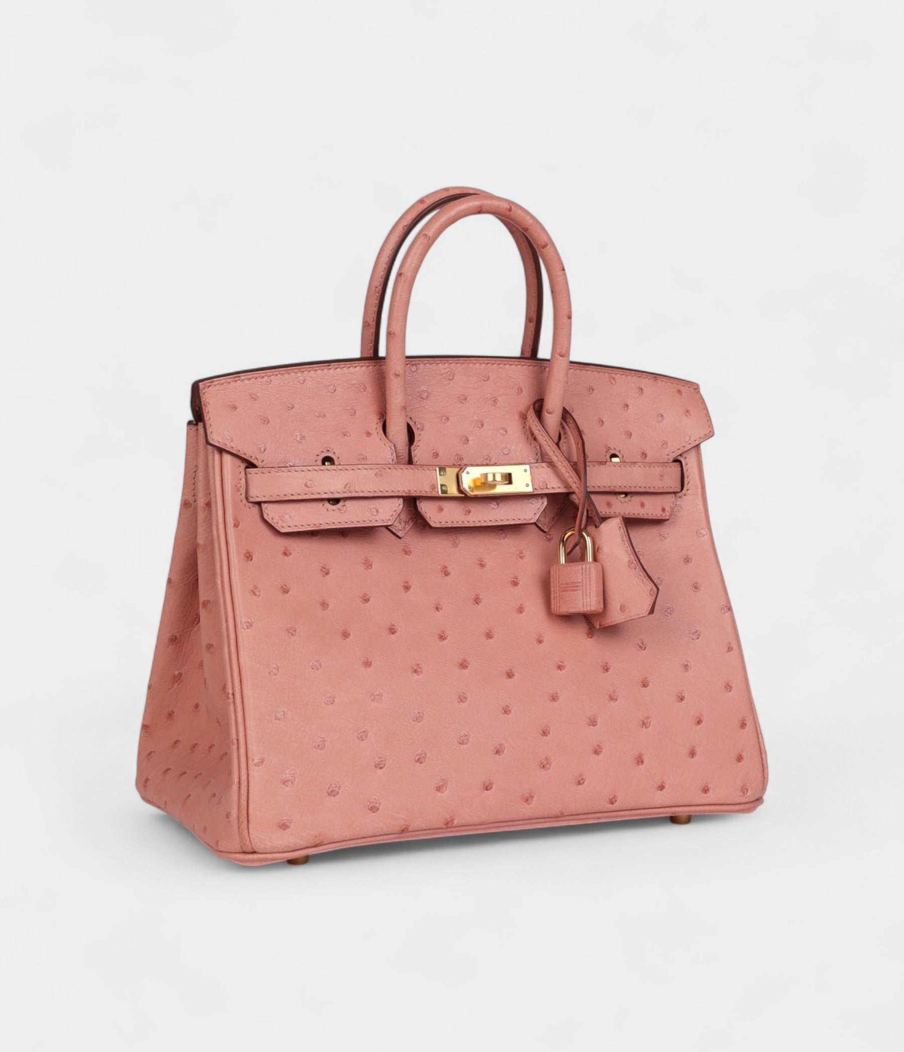 HM BK 25 Terre Cuite Ostrich Gold Hardware