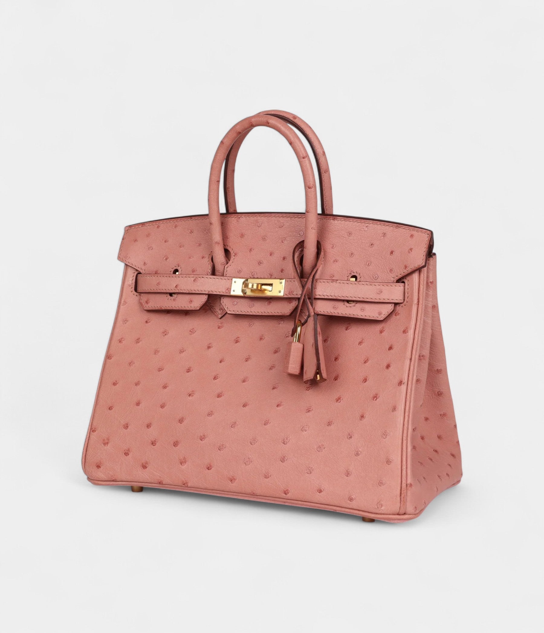 HM BK 25 Terre Cuite Ostrich Gold Hardware