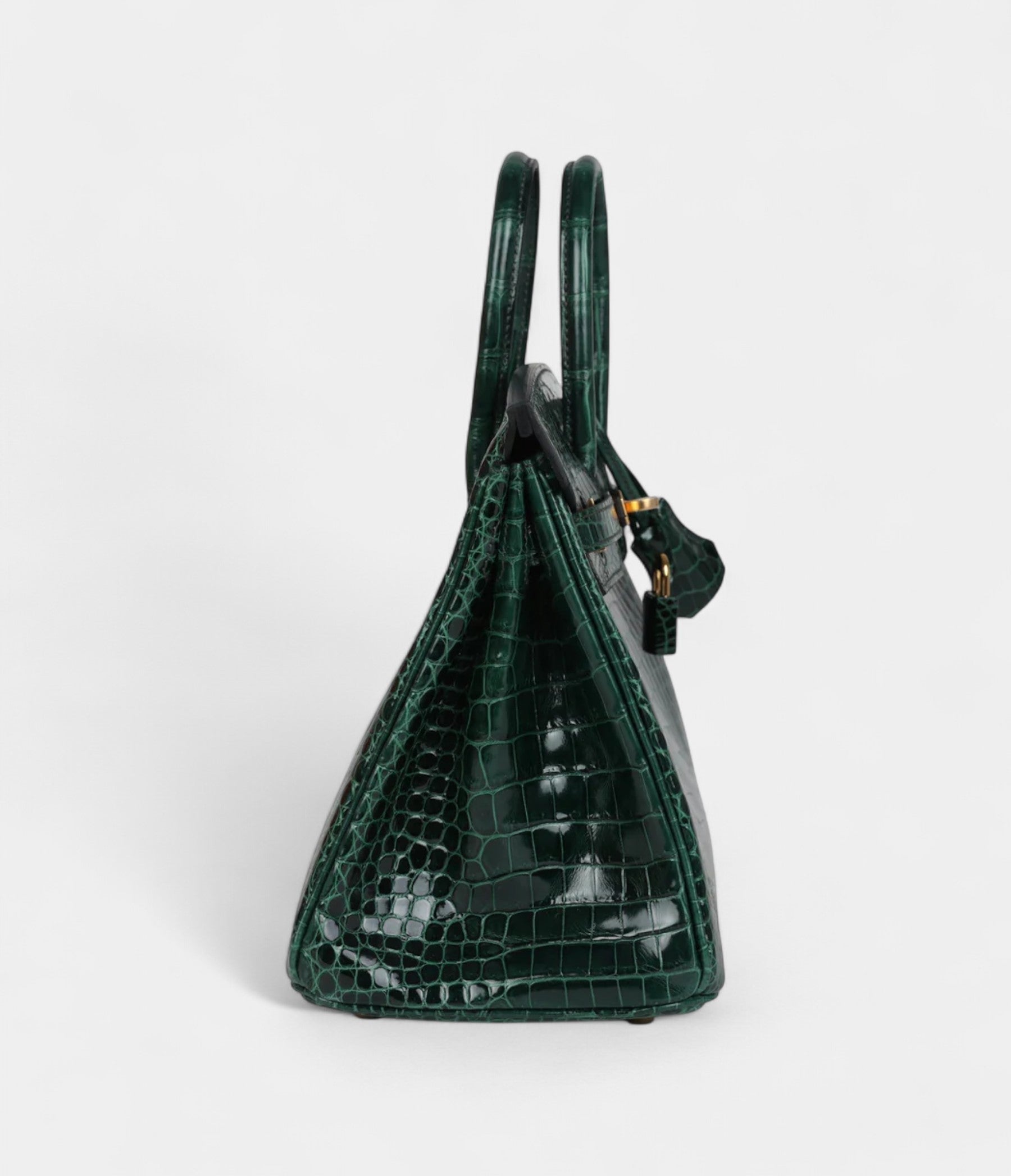 HM BK 25 Vert Fonce Shiny Porous Crocodile Gold Hardware