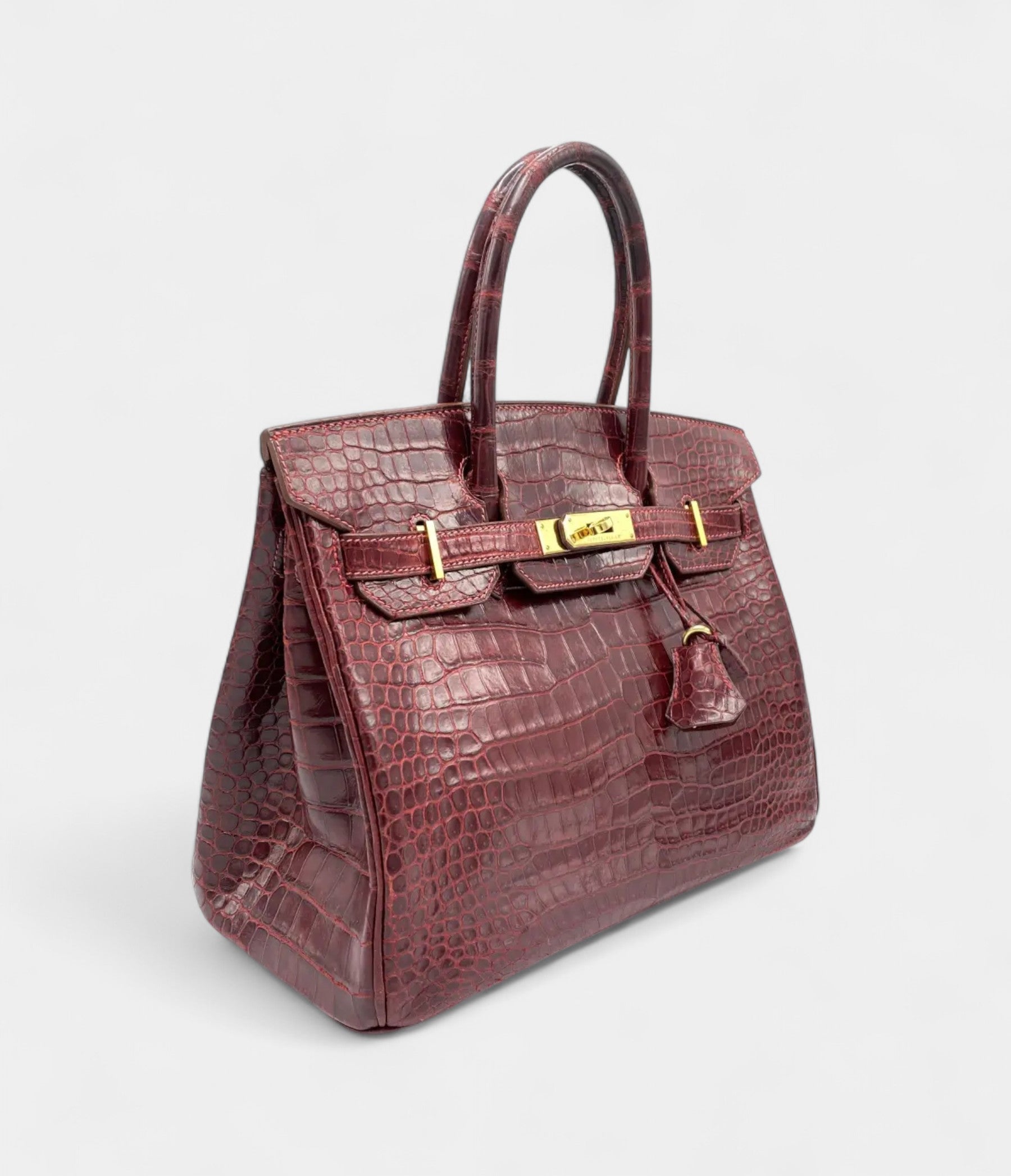 HM BK 30 Alligator Handbag The Pinnacle of Exotic Luxury