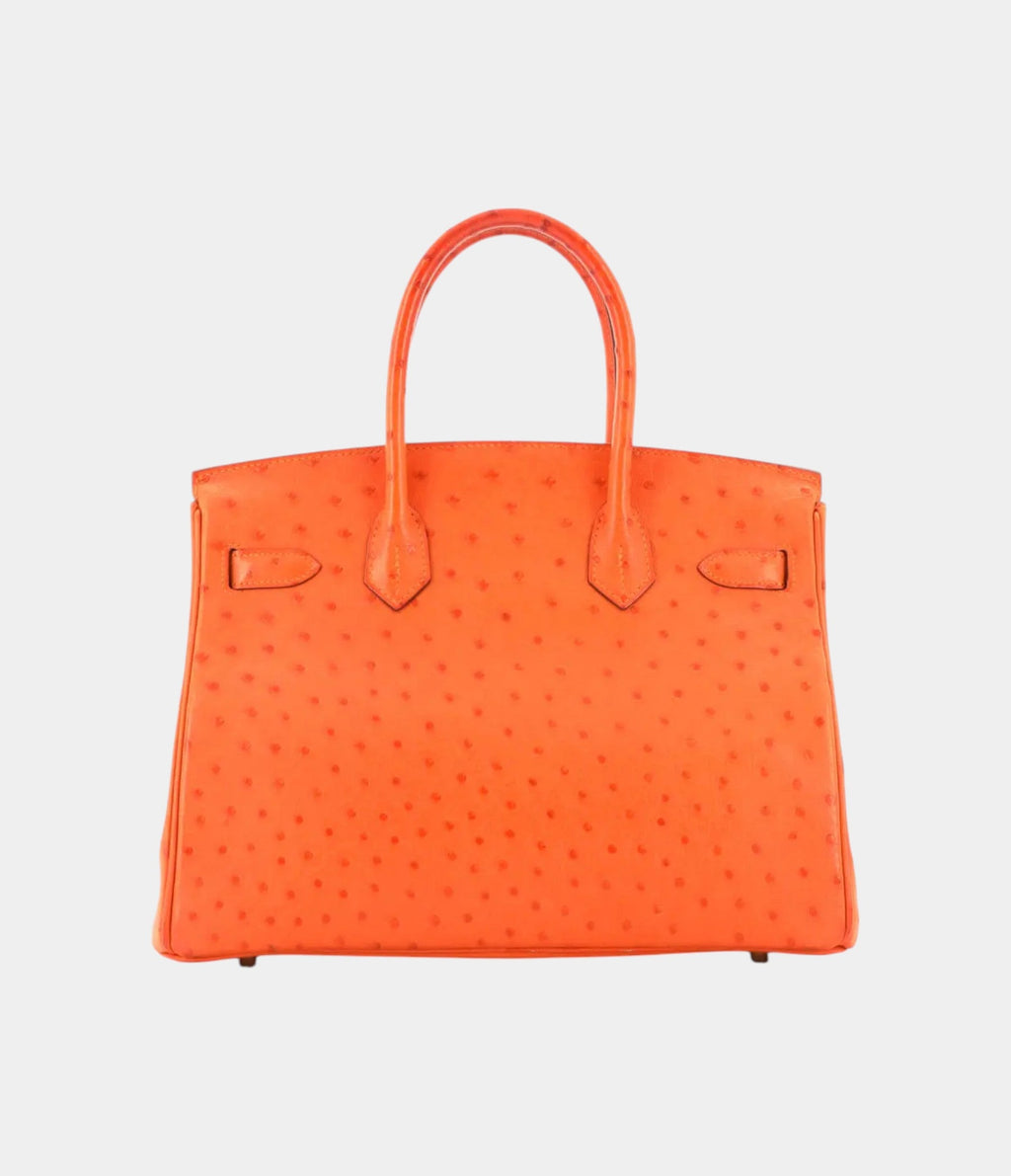 HM BK 30 Exotic Leathers Tote A Luxurious Masterpiece