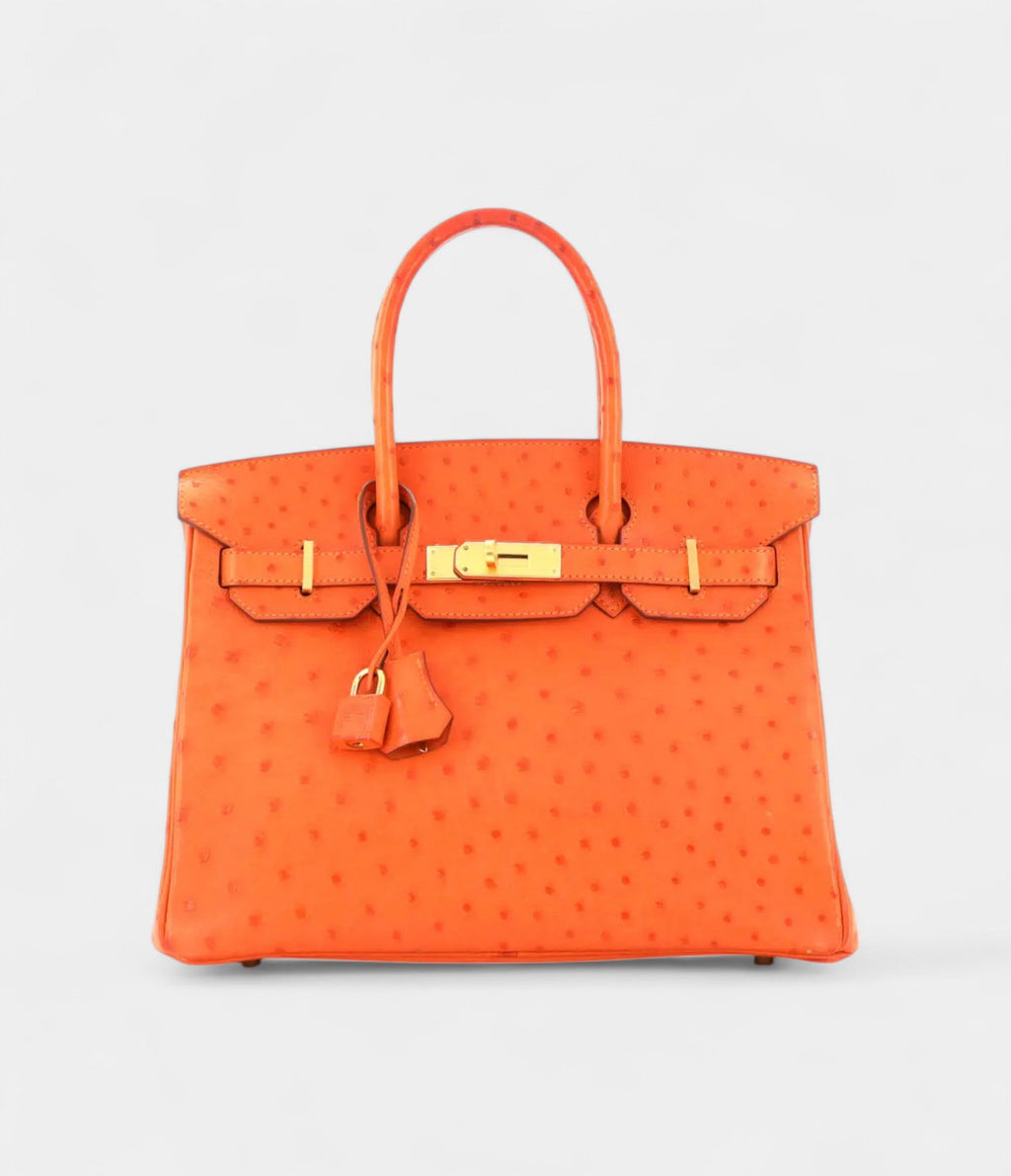 HM BK 30 Exotic Leathers Tote A Luxurious Masterpiece