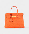 HM BK 30 Exotic Leathers Tote A Luxurious Masterpiece