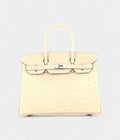 HM BK 30 Exotic Leathers Tote The Ultimate in Luxury and Exclusivity
