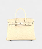 HM BK 30 Exotic Leathers Tote The Ultimate in Luxury and Exclusivity