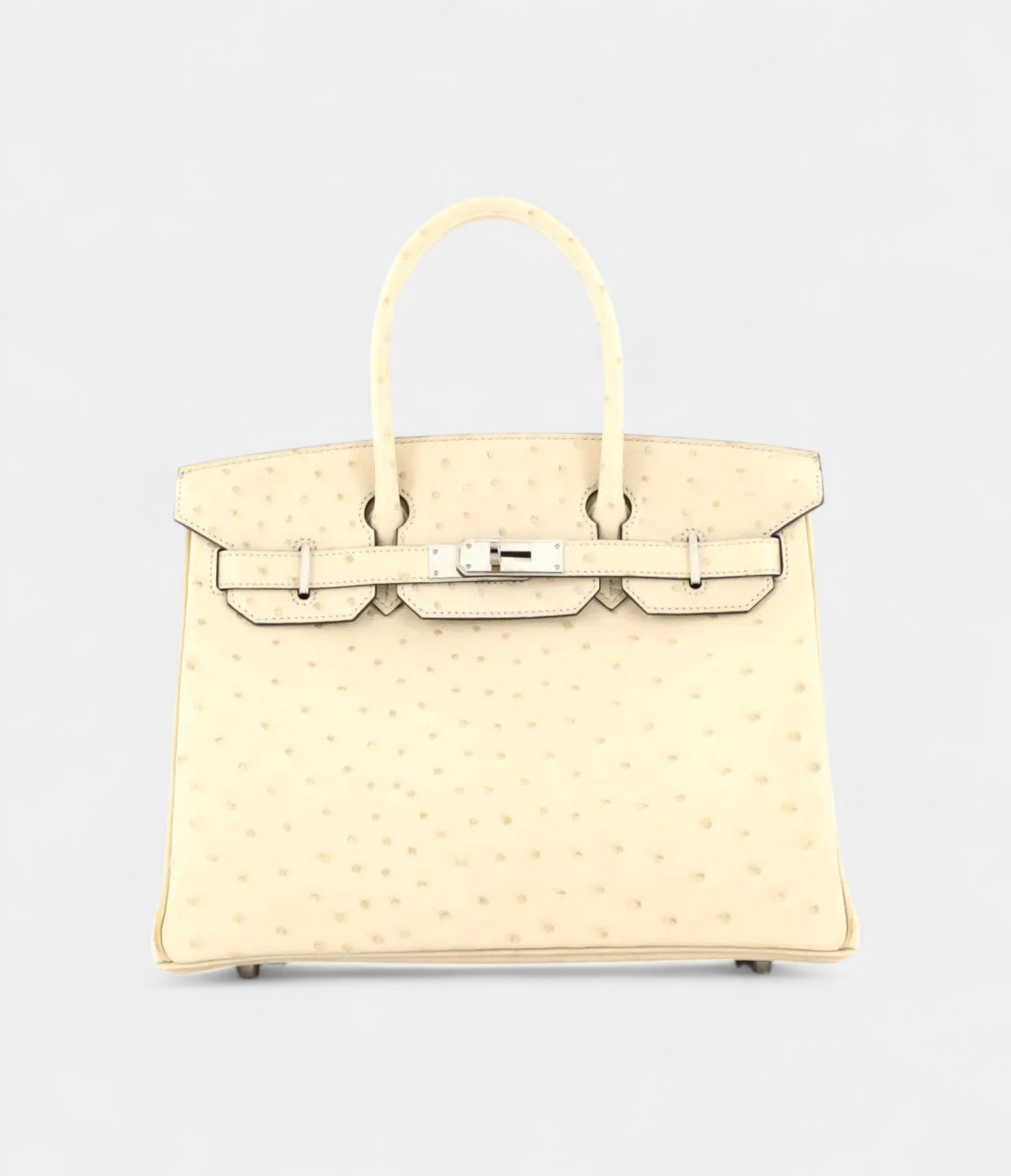 HM BK 30 Exotic Leathers Tote The Ultimate in Luxury and Exclusivity