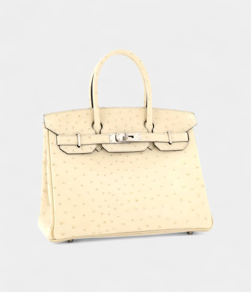 HM BK 30 Exotic Leathers Tote The Ultimate in Luxury and Exclusivity