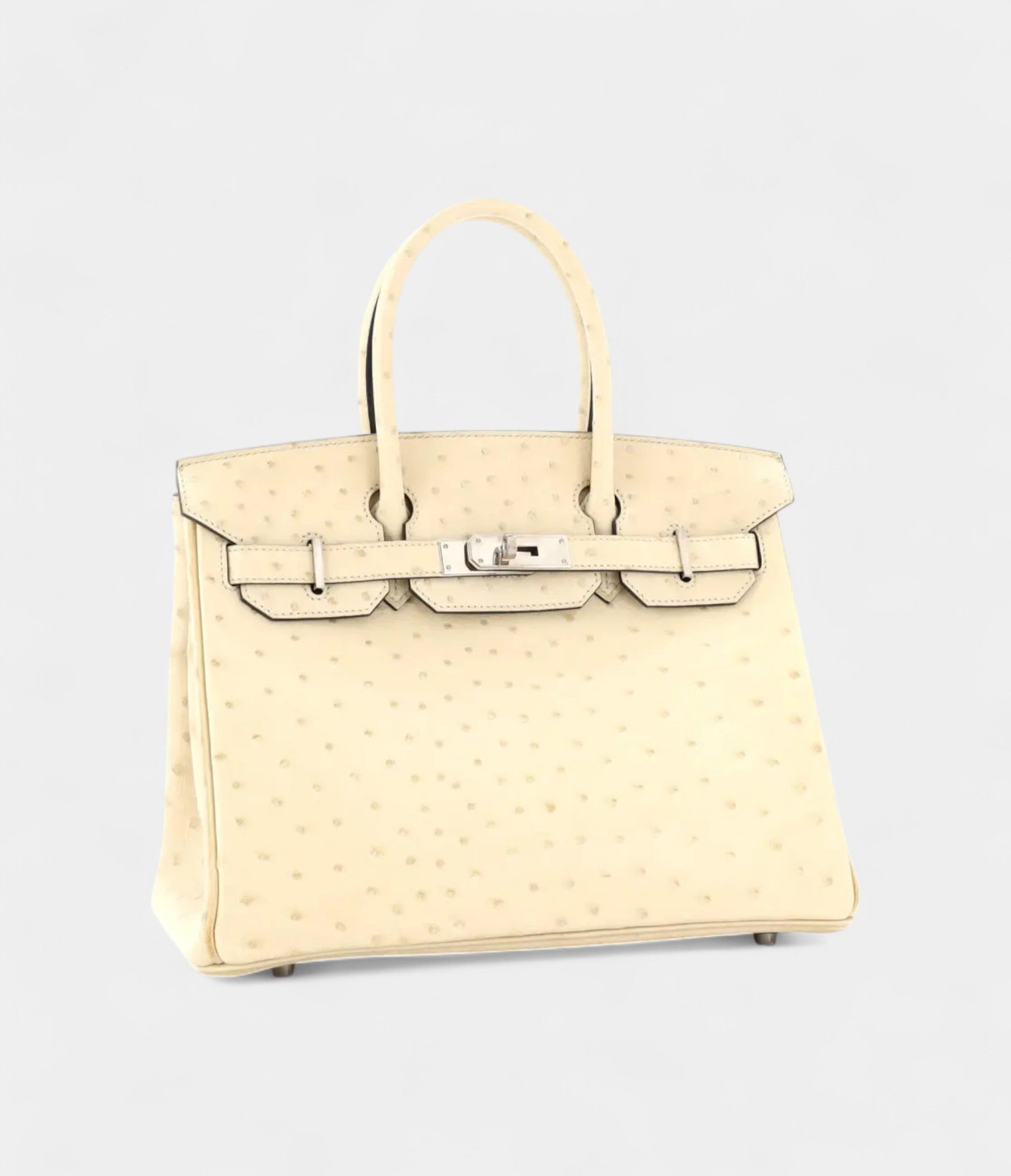 HM BK 30 Exotic Leathers Tote The Ultimate in Luxury and Exclusivity