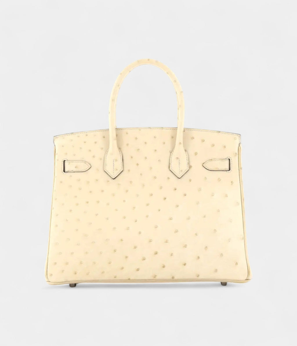 HM BK 30 Exotic Leathers Tote The Ultimate in Luxury and Exclusivity