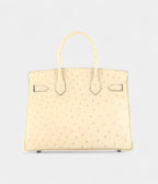 HM BK 30 Exotic Leathers Tote The Ultimate in Luxury and Exclusivity