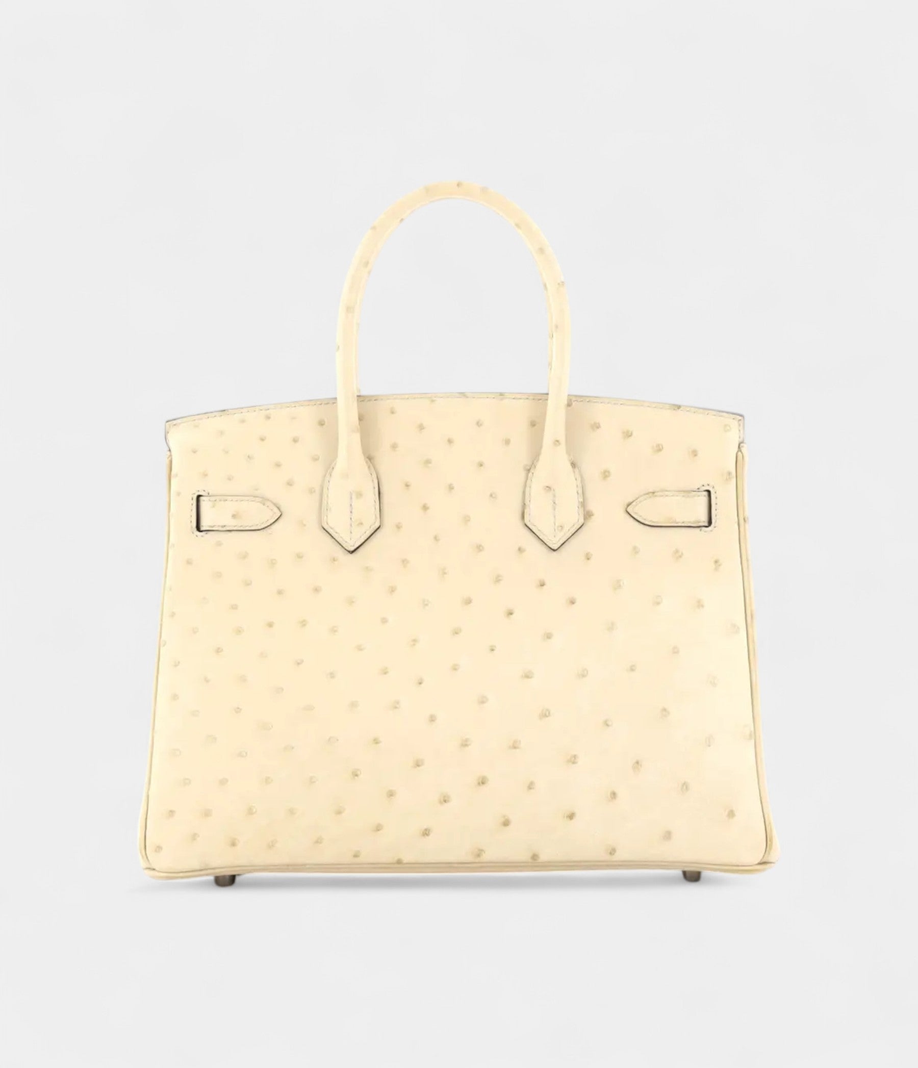 HM BK 30 Exotic Leathers Tote The Ultimate in Luxury and Exclusivity