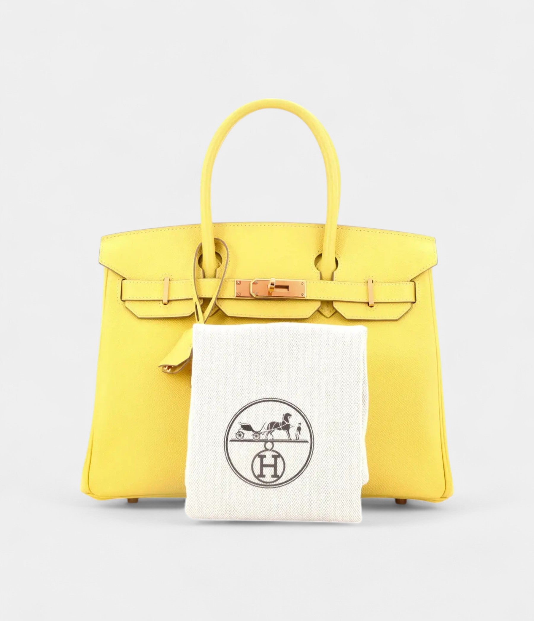 HM BK 30 Leather Handbag The Pinnacle of Luxury