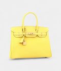 HM BK 30 Leather Handbag The Pinnacle of Luxury