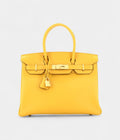 HM BK 30 Leather Handbag The Ultimate Luxury Icon Signature Gold