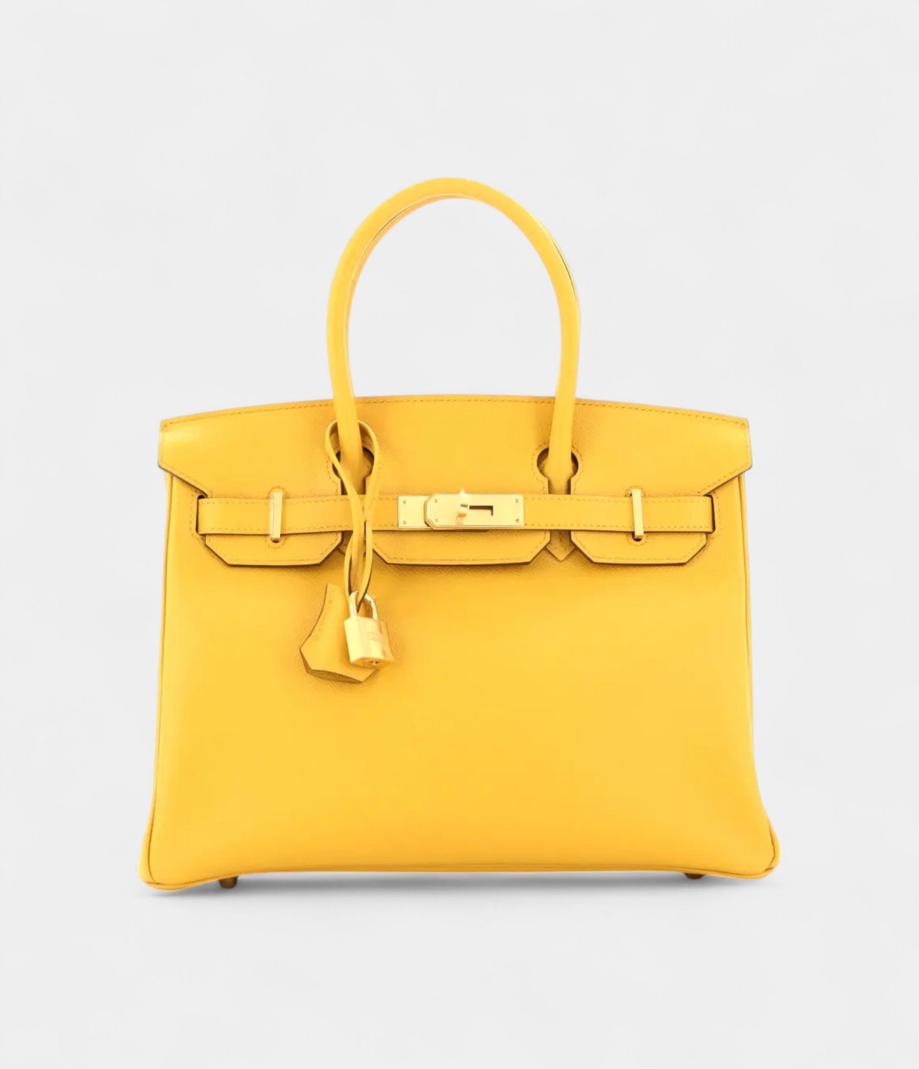 HM BK 30 Leather Handbag The Ultimate Luxury Icon Signature Gold
