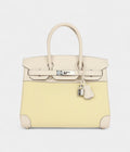 HM BK 30 Nata Swift and Jaune Poussin Toile Palladium Hardware