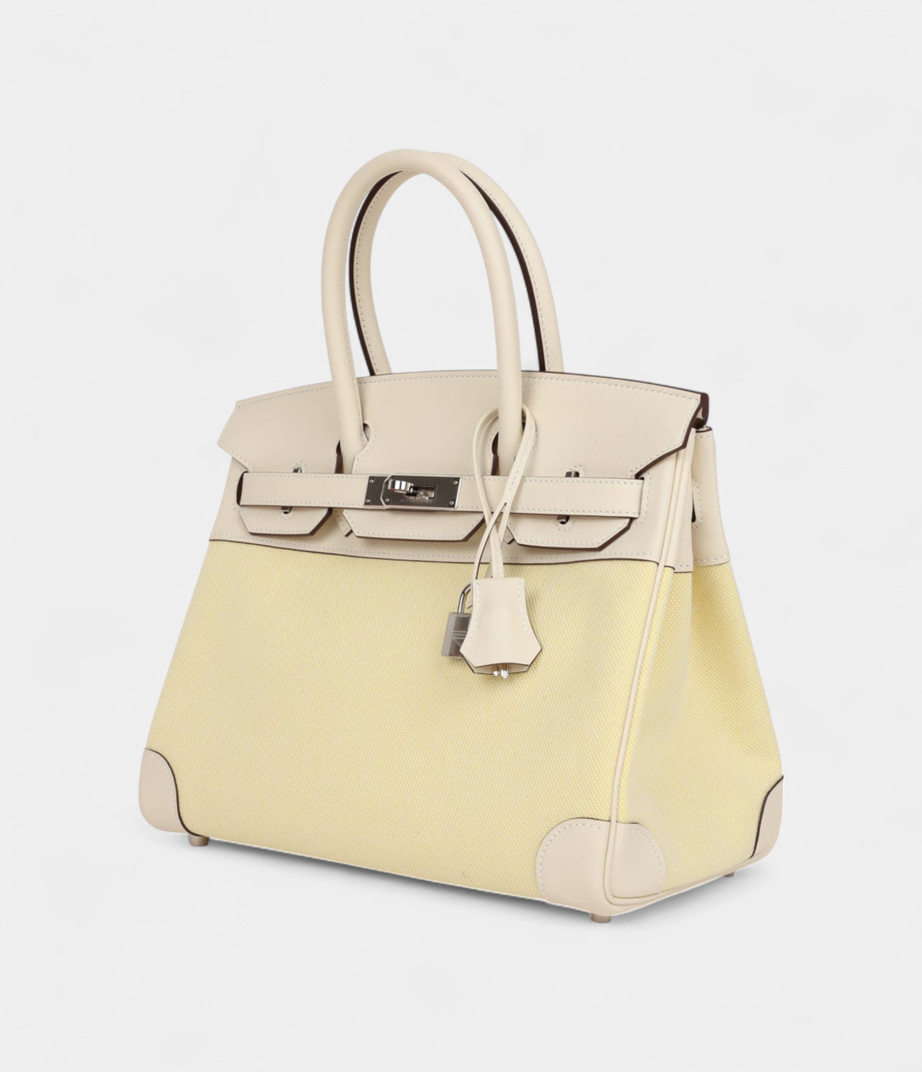 HM BK 30 Nata Swift and Jaune Poussin Toile Palladium Hardware