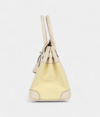 HM BK 30 Nata Swift and Jaune Poussin Toile Palladium Hardware