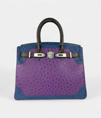 HM BK 30 Ostrich Handbag Exotic Elegance in a Coveted Classic