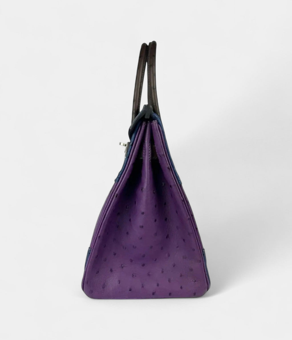 HM BK 30 Ostrich Handbag Exotic Elegance in a Coveted Classic