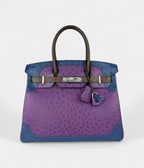 HM BK 30 Ostrich Handbag Exotic Elegance in a Coveted Classic