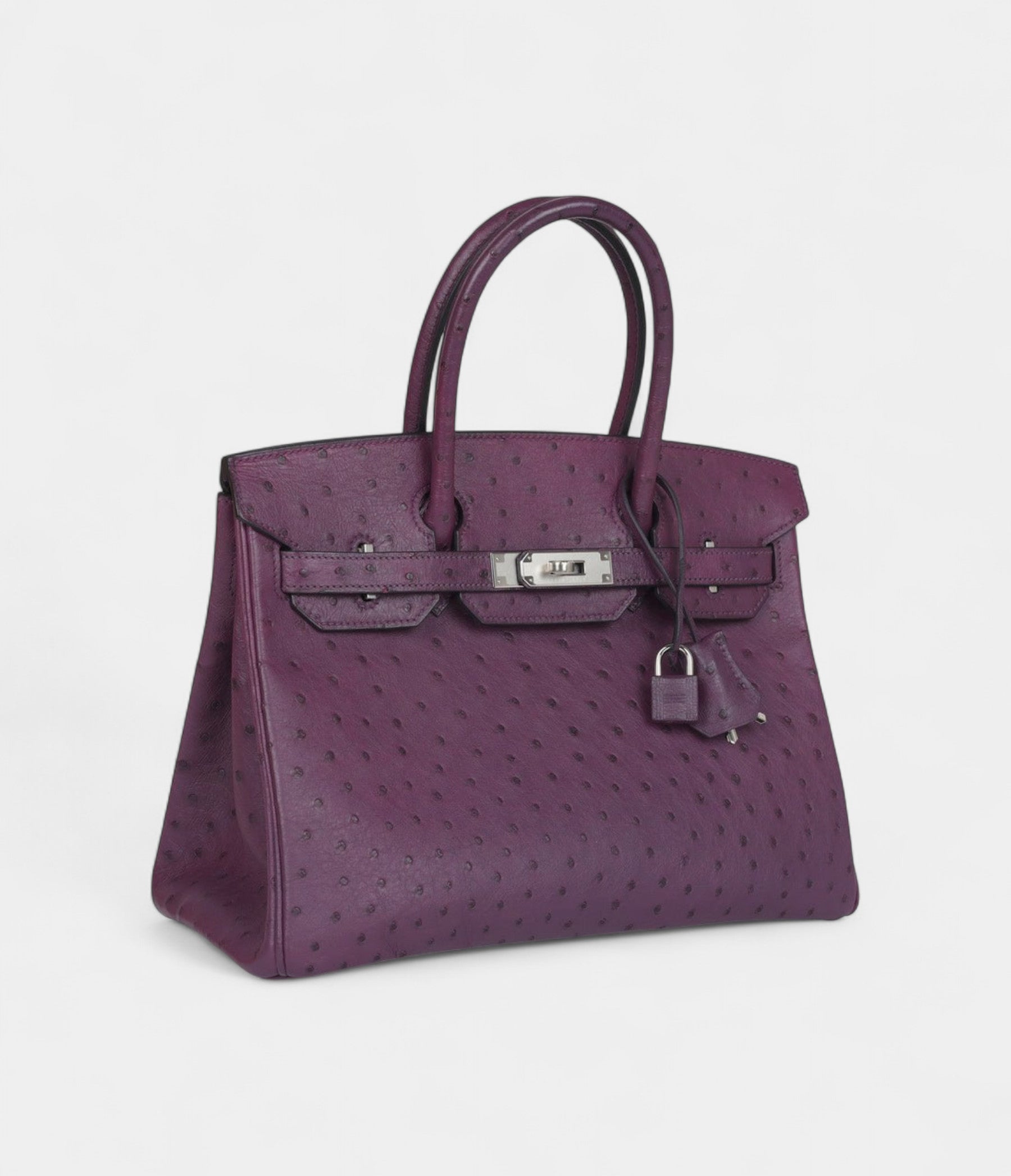 HM BK 30 Violet Ostrich Palladium Hardware