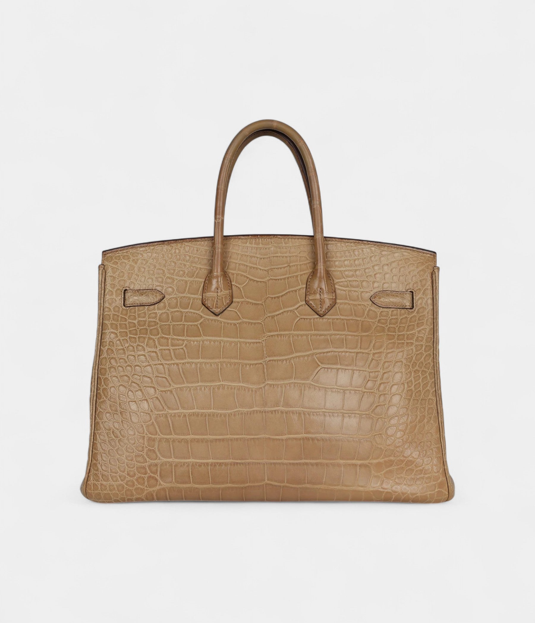 HM BK 35 Poussiere Matte Alligator Palladium Hardware
