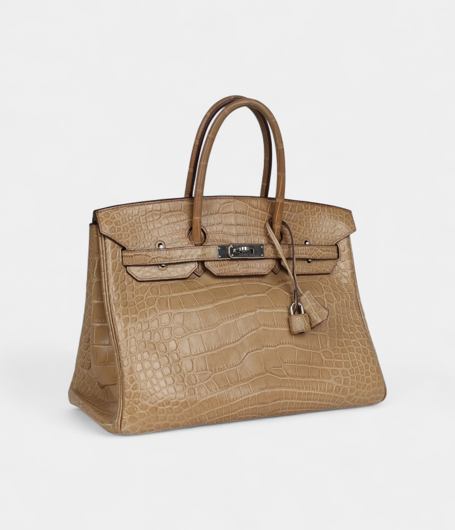 HM BK 35 Poussiere Matte Alligator Palladium Hardware