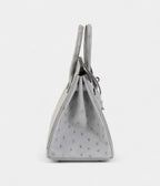 HMBleu Glacier Ostrich BK 25 Palladium Hardware