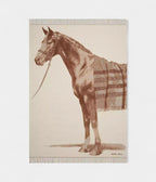 HMCheval Talaria Blanket Artistic Elegance in Pure Cashmere
