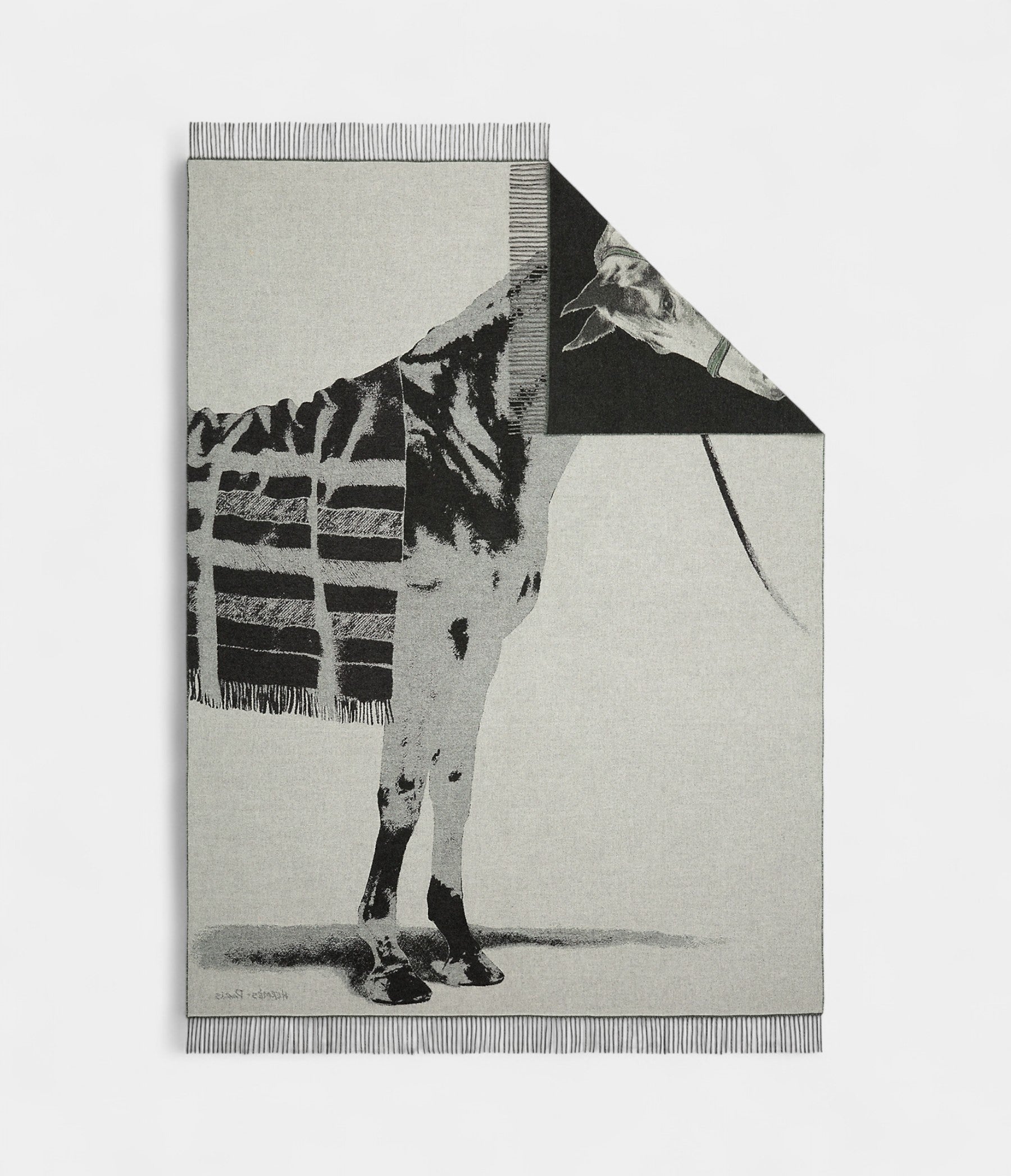 HMCheval Talaria Blanket Artistic Elegance in Pure Cashmere