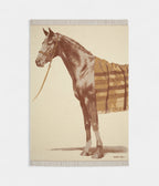 HMCheval Talaria Blanket Artistic Elegance in Pure Cashmere