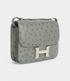 HMConstance 18 Ostrich Vert Amande Palladium Hardware
