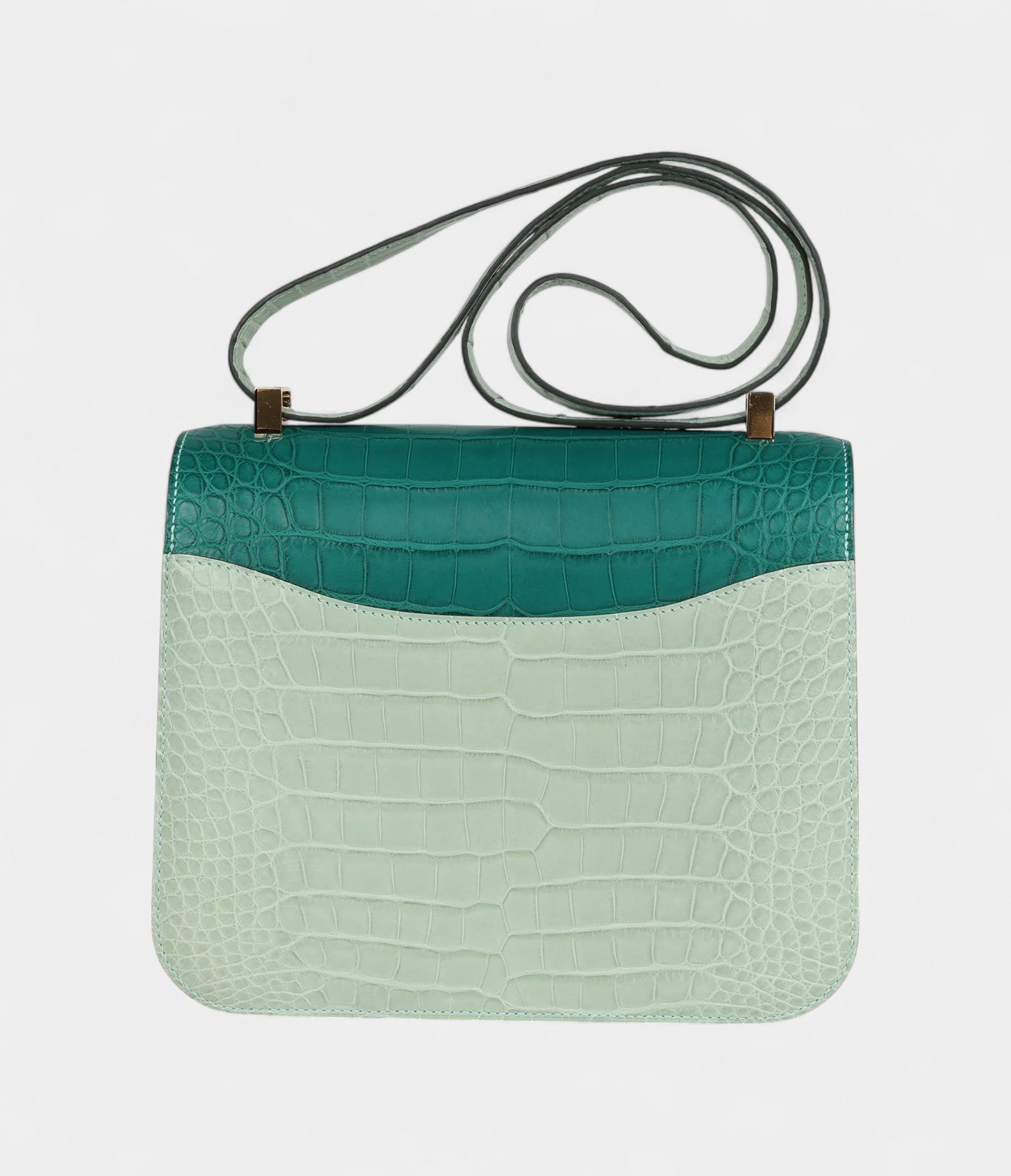 HMConstance 24 Bicolor Vert D'eau and Malachite Matte Alligator Gold Hardware