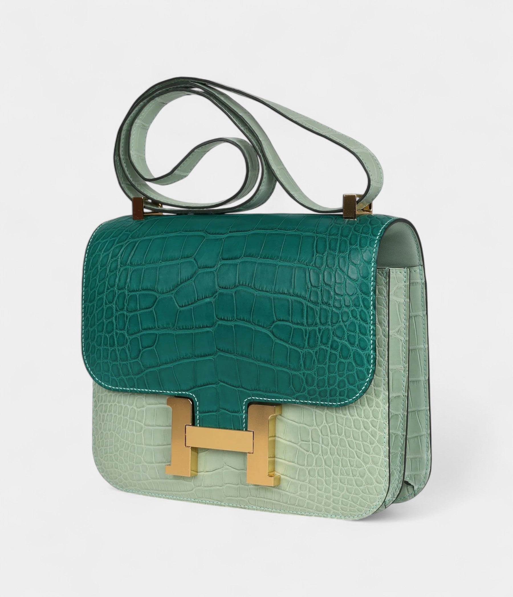 HMConstance 24 Bicolor Vert D'eau and Malachite Matte Alligator Gold Hardware
