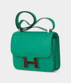 HMConstance 24cm Vert Vertigo Ostrich Leather Palladium Hardware