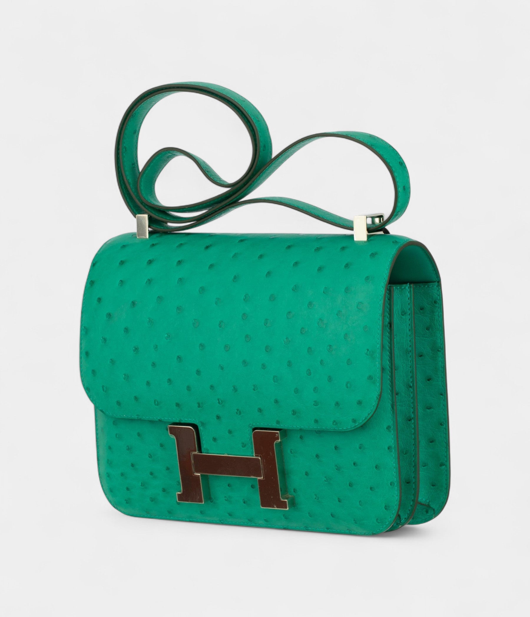 HMConstance 24cm Vert Vertigo Ostrich Leather Palladium Hardware