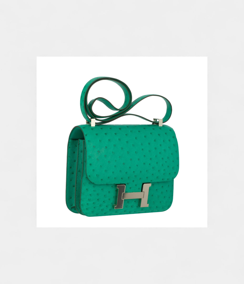 HMConstance 24cm Vert Vertigo Ostrich Leather Palladium Hardware