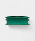 HMConstance 24cm Vert Vertigo Ostrich Leather Palladium Hardware