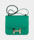 HMConstance 24cm Vert Vertigo Ostrich Leather Palladium Hardware