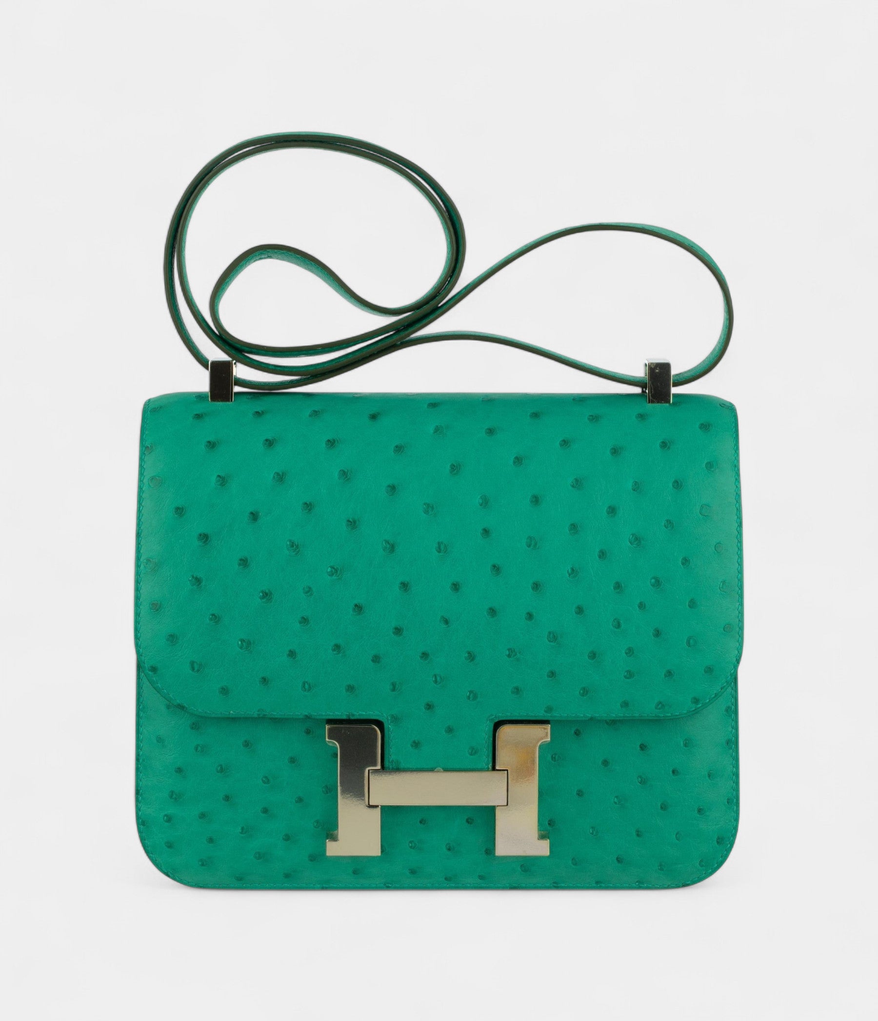 HMConstance 24cm Vert Vertigo Ostrich Leather Palladium Hardware