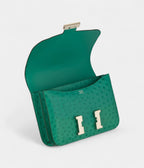 HMConstance 24cm Vert Vertigo Ostrich Leather Palladium Hardware