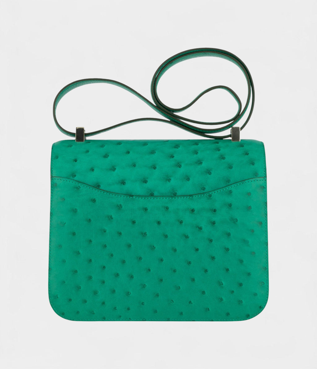 HMConstance 24cm Vert Vertigo Ostrich Leather Palladium Hardware