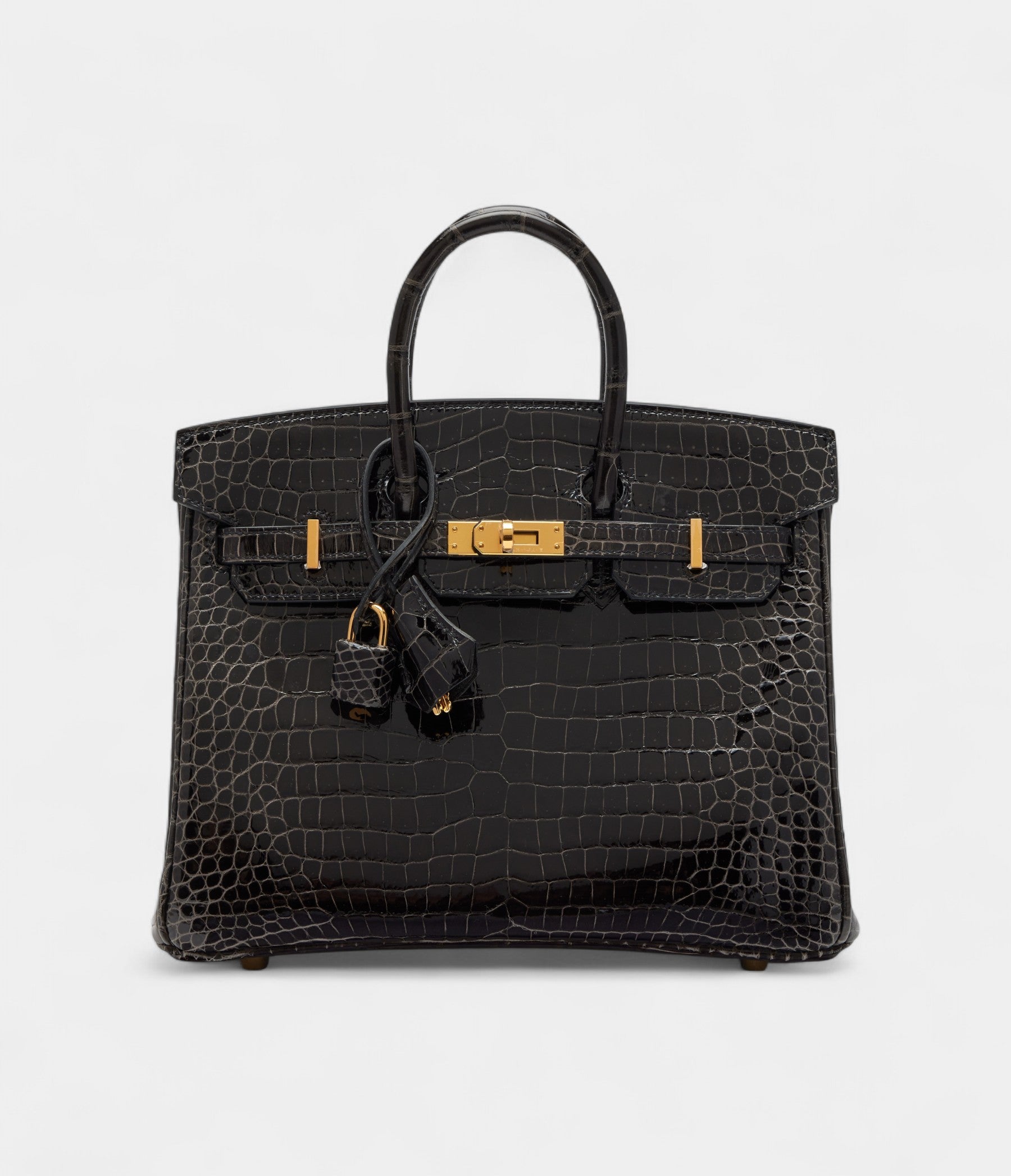 HMGraphite Shiny Porosus Crocodile BK 25 Gold Hardware