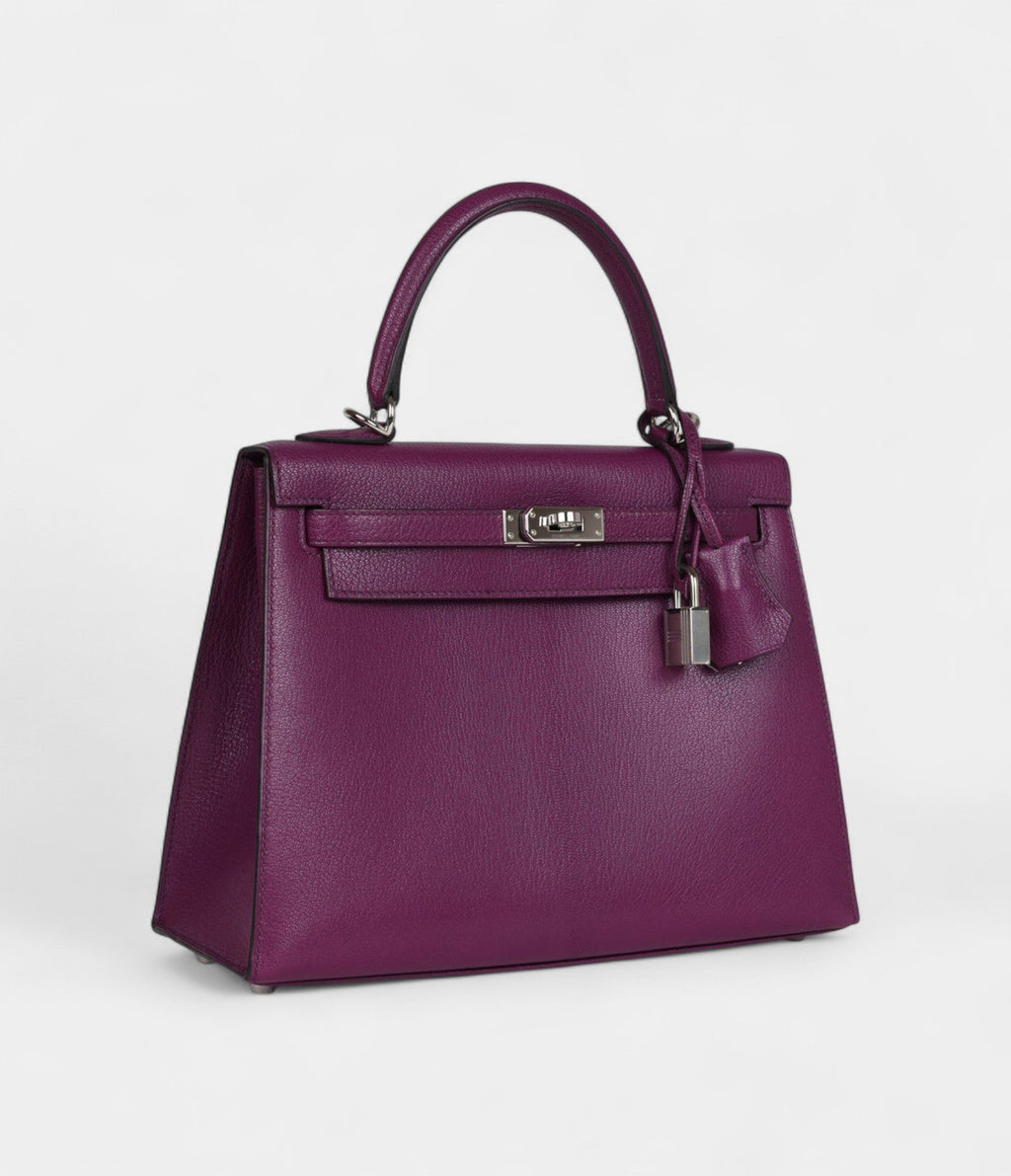 Hermes Kelly 25 Anemone Chevre Mysore Palladium Hardware